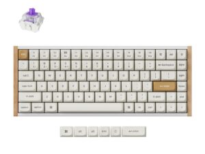 Keychron K2 HE Wireless Special Edition Magnetic Custom Keyboard | NEBULA Switch – White